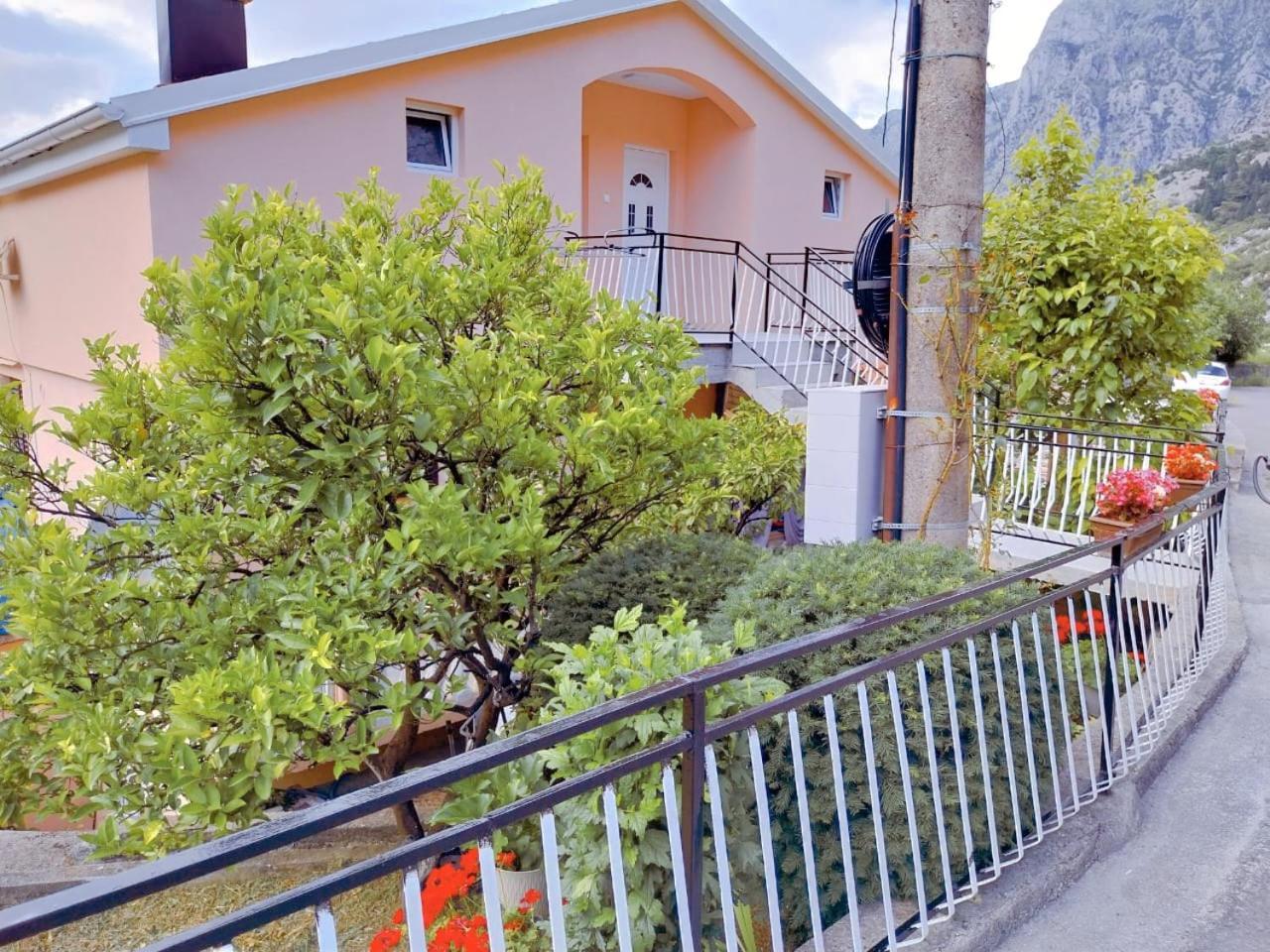 Apartment Dora Kotor Exteriér fotografie